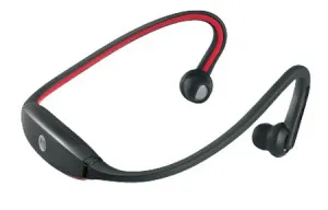 bt-headphones