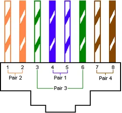 std-cat5-end